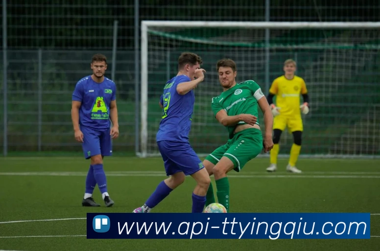 多媒体互动体验